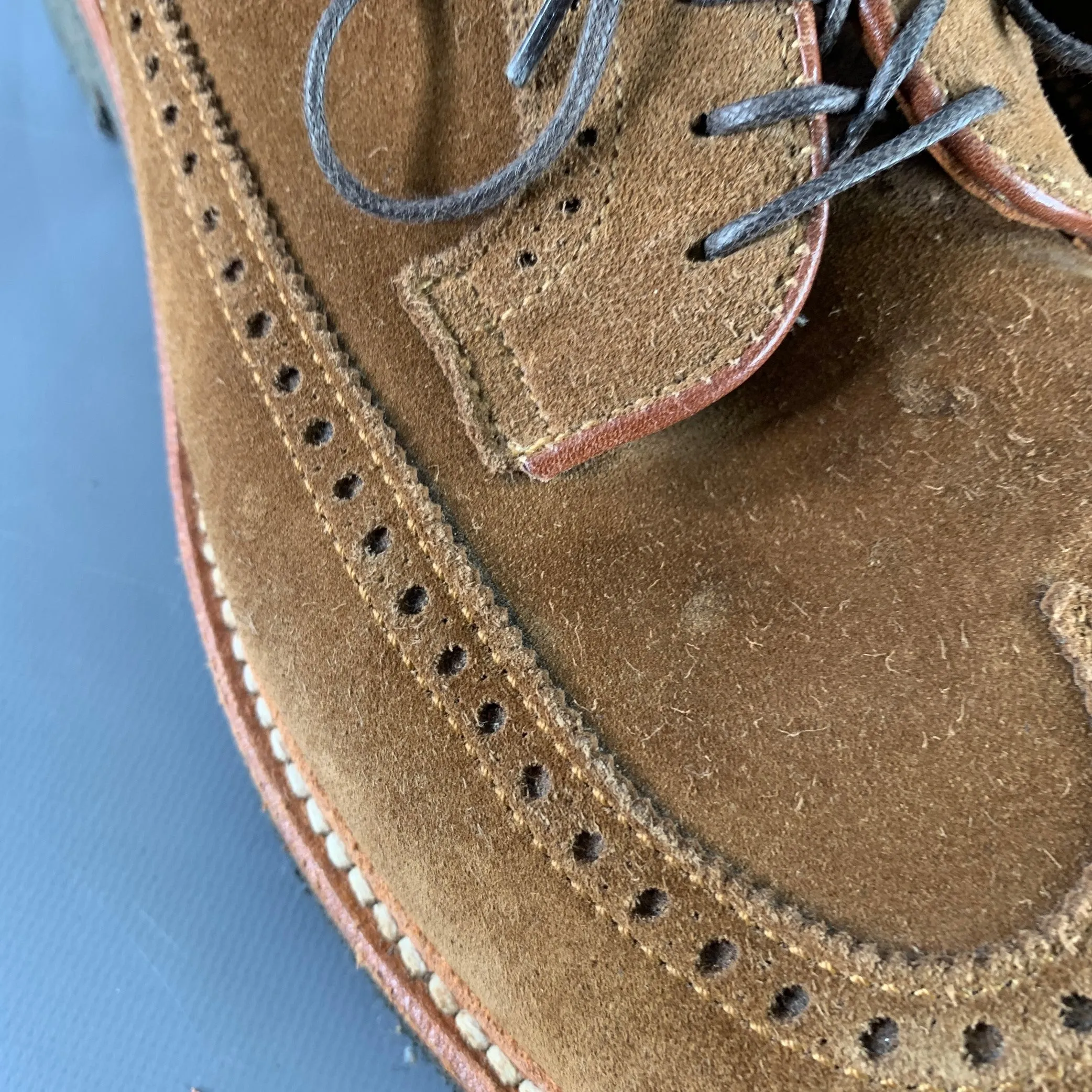 ALDEN Size 12.5 Brown Perforated Suede Wingtip Lace-Up Shoes