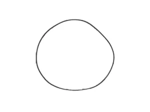 Honda O-Ring