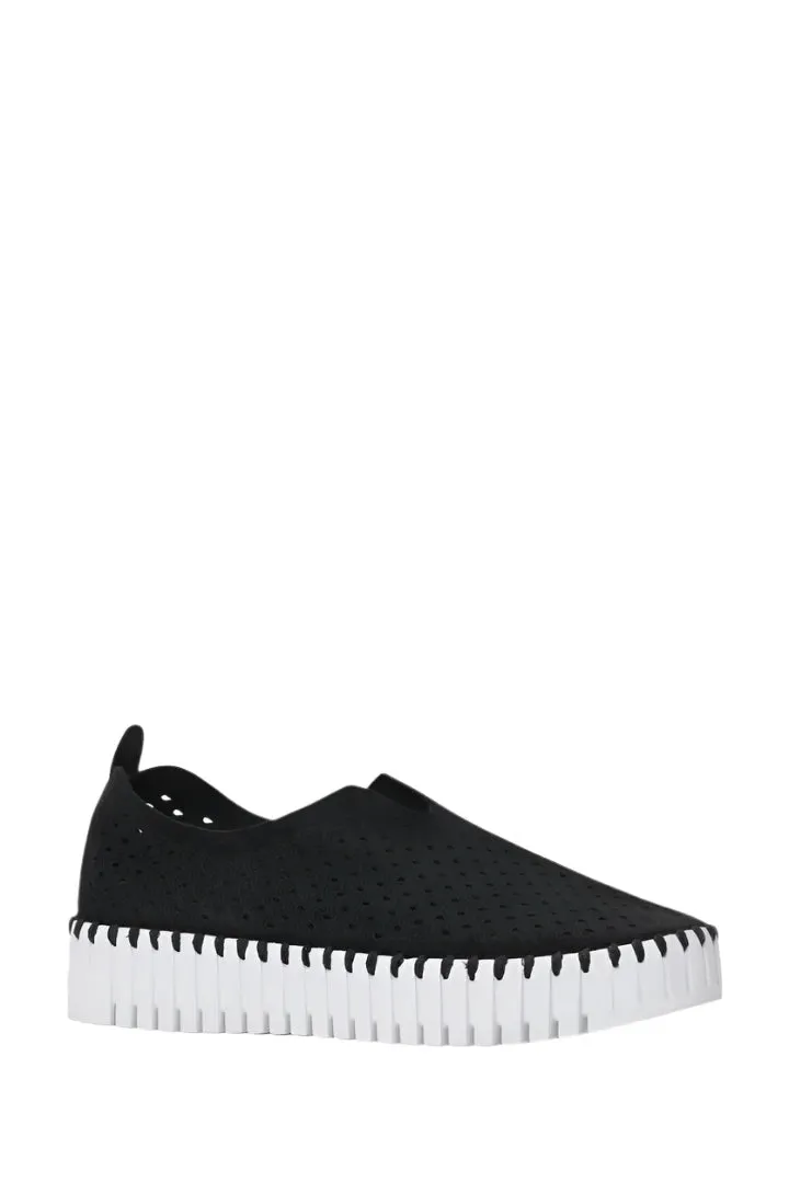 LIGHT WEIGHT PERFORATED BLACK SHOE