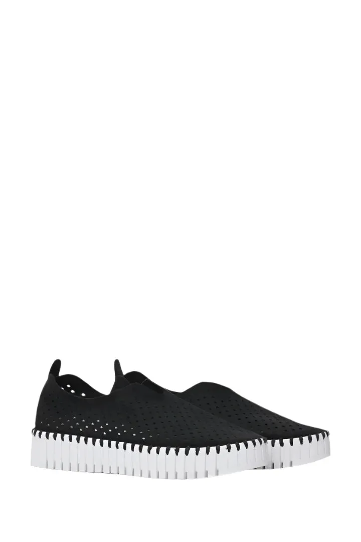 LIGHT WEIGHT PERFORATED BLACK SHOE