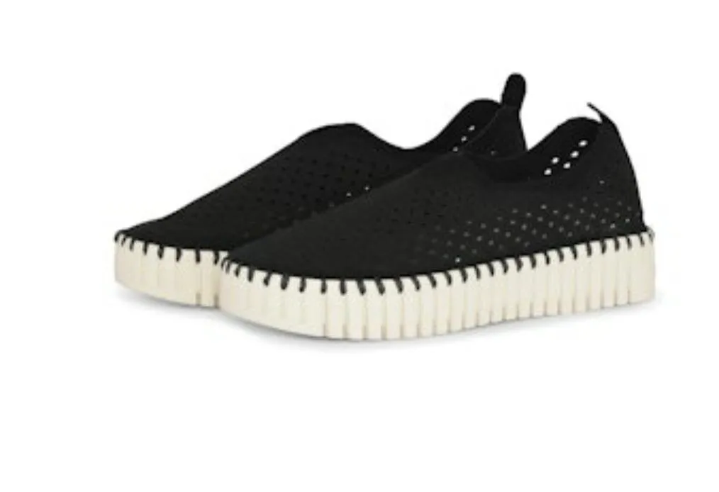 LIGHT WEIGHT PERFORATED BLACK SHOE
