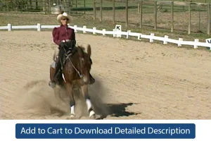 Training Tip - #094 Stopping Under Saddle